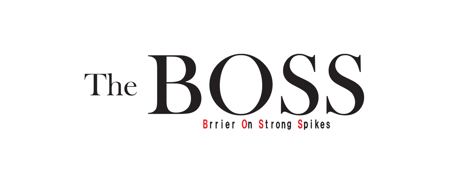 車両進入防止装置「The BOSS」
