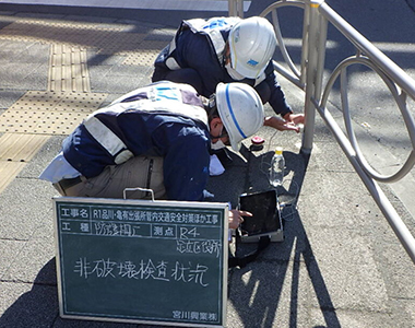 防護柵根入れ壊調査